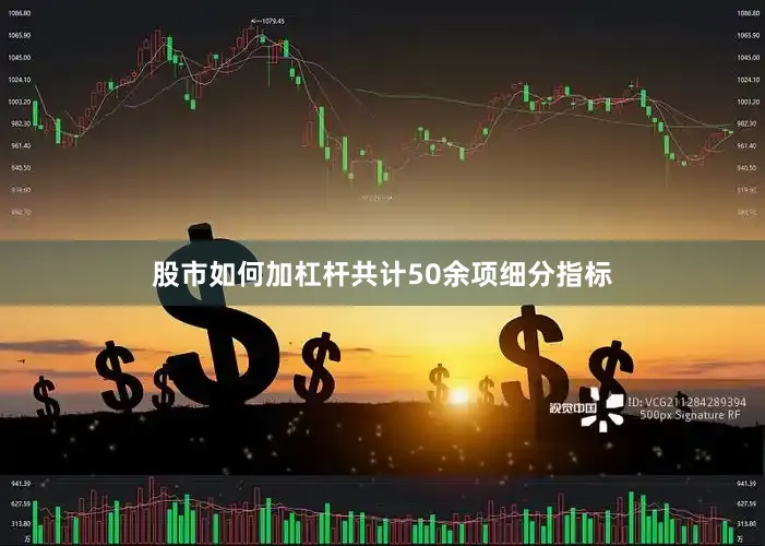 股市如何加杠杆共计50余项细分指标