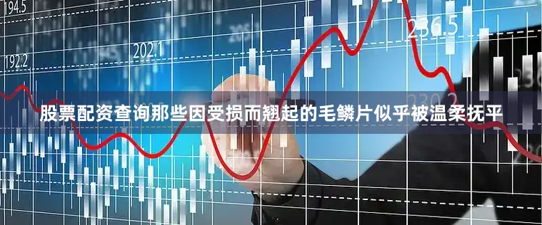 股票配资查询那些因受损而翘起的毛鳞片似乎被温柔抚平
