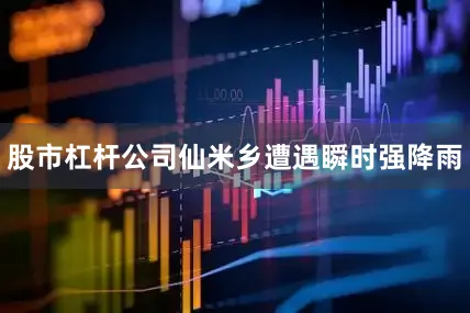 股市杠杆公司仙米乡遭遇瞬时强降雨